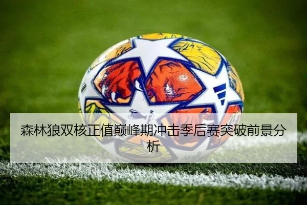 森林狼双核正值巅峰期冲击季后赛突破前景分析（BOYUSPORTS）